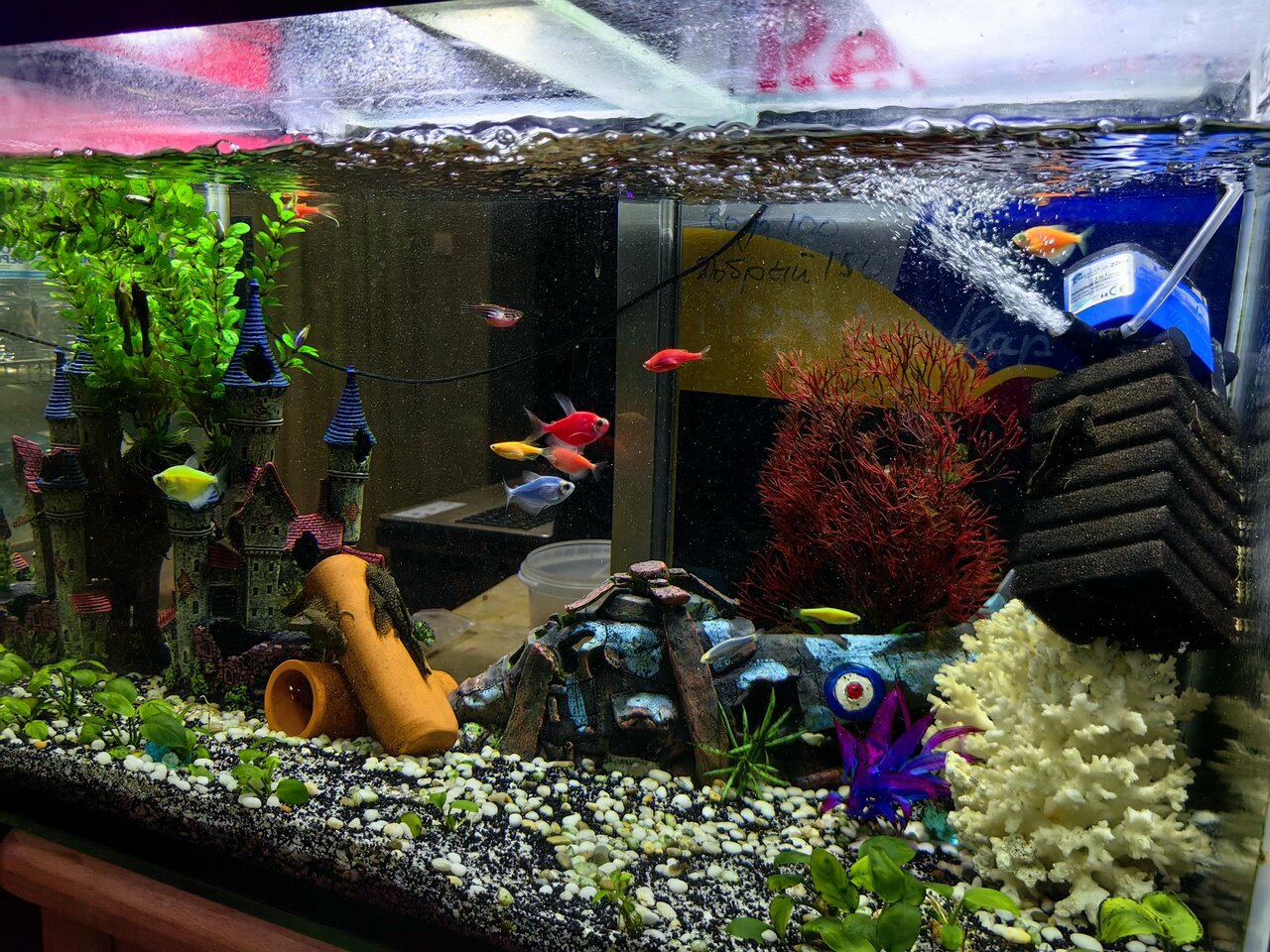 Гостиница Анна Новороссийск-15