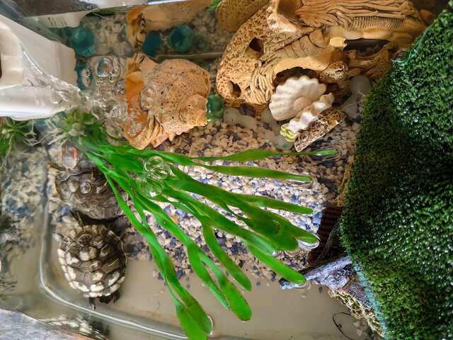 Гостиница Анна Новороссийск-125