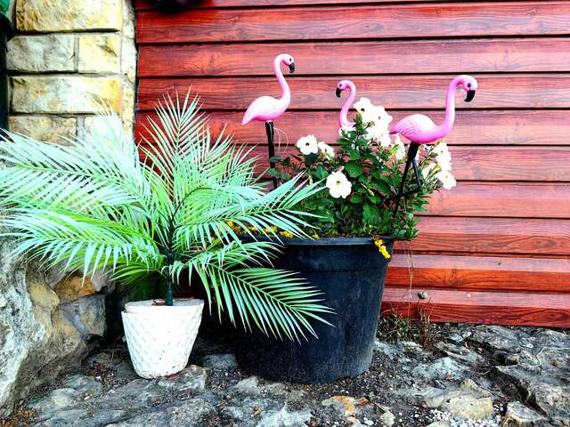 Гостиница Анна Новороссийск-26