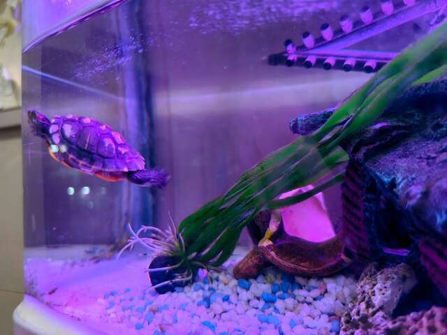 Гостиница Анна Новороссийск-90